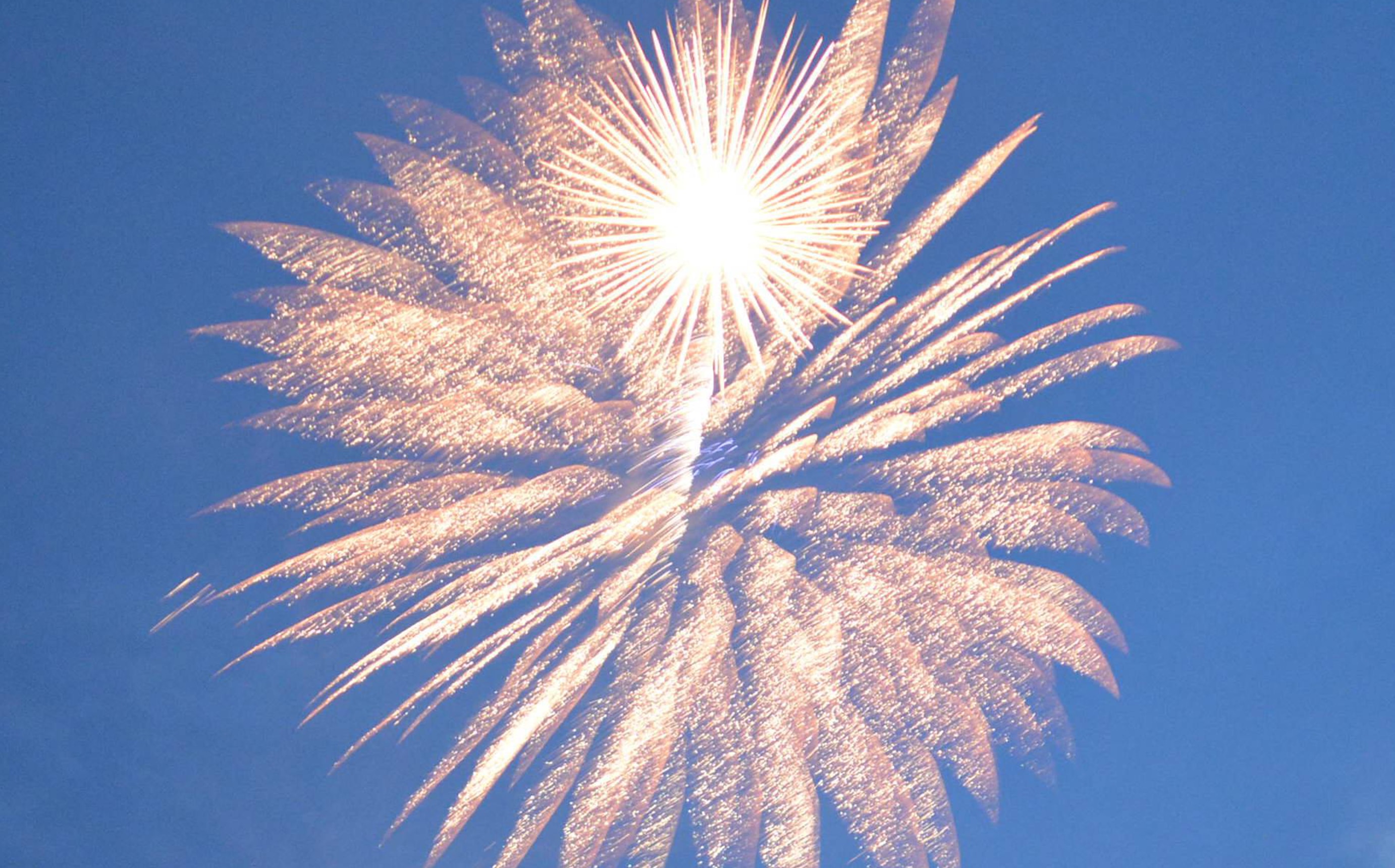 A Firework Solutions Limited display, with a gold firework on a blue sky