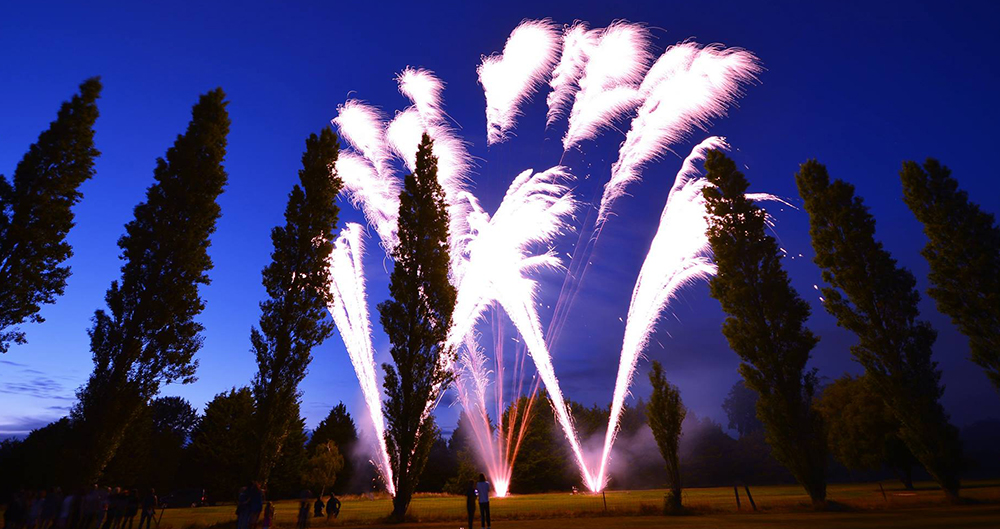 Firework display in a woodland setting