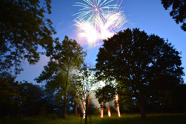 A colourful large scale display in a woodland setting