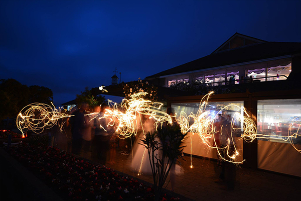 A wedding party enjoying their firework display